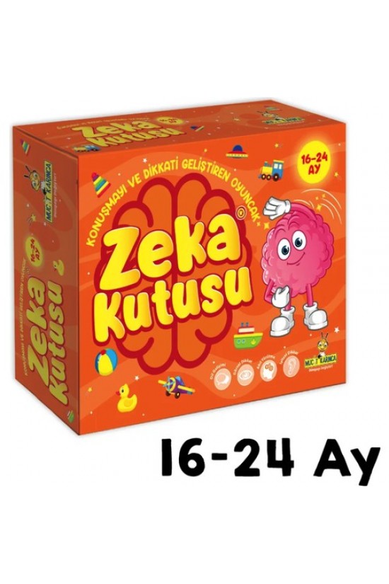 Zeka Kutusu 16-24 Ay