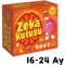 Zeka Kutusu 16-24 Ay